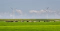 Windmills and cows Royalty Free Stock Photo