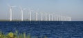 Windmills on a dutch Royalty Free Stock Photo