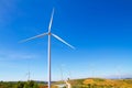 Windmills electric power with blue sky