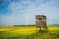 Windmills in the field2 Royalty Free Stock Photo