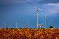 Windmills in the fields with dramatic rain clouds in the background