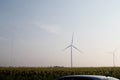 Windmills in the fog near a field of sunflowers. Early morning. See the movement of the blades, as a strong wind is blowing. Wind Royalty Free Stock Photo