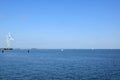 Windmills At The IJselmeer The Netherlands 6-8-2020