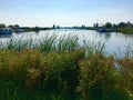 Windmills; Kinderdijk, Holland Royalty Free Stock Photo