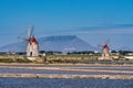 Natural reserve of the Saline dello Stagnone near Marsala, Sicily.