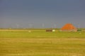 windmills, Netherlands Royalty Free Stock Photo