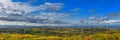 The Windmills park of Paldiski panorama. Wind turbine farm near Baltic sea. Autumn landscape with windmills, orange forest and