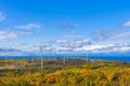 The Windmills park of Paldiski. Wind turbine farm near Baltic sea. Autumn landscape with windmills, orange forest and Royalty Free Stock Photo