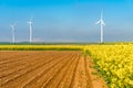 Windmills on the field Royalty Free Stock Photo