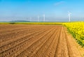 Windmills on the field Royalty Free Stock Photo