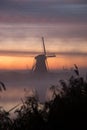 Windmills at sunset