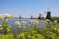 Windmills at Zaanse Schans