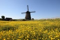Windmolen Noord-Holland, Windmill Noord-Holland Royalty Free Stock Photo