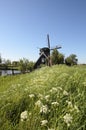 Windmolen, Windmill Royalty Free Stock Photo