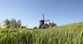 Windmolen, Windmill Royalty Free Stock Photo