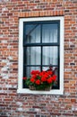 Window