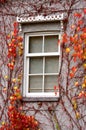 Window Royalty Free Stock Photo