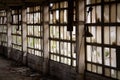 Window of abandoned factory