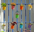 Andalusian house adorned with colored pots in Seville, Spain Royalty Free Stock Photo