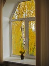 Window in Autumn