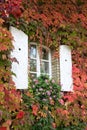 Window in autumn Royalty Free Stock Photo