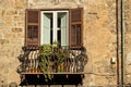 Window and balcony. Palermo, Sicily, Italy