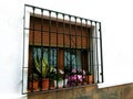 window with bars and flower pots Royalty Free Stock Photo