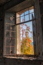 Window in Berengaria abandoned hotel in mountain region of Trodos, Cyprus Royalty Free Stock Photo