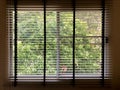 window blind with green tree on the outside Royalty Free Stock Photo