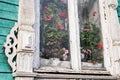 Window with blooming geraniums and cacti in country house Royalty Free Stock Photo