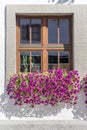 window and blossoming petunia purple flowers at old house, Obertstdorf, Germany