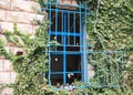 Window with blue wrought iron latticework