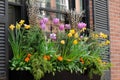 Window Box Flower Arrangement Royalty Free Stock Photo