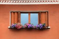 Window box flower arrangement Royalty Free Stock Photo