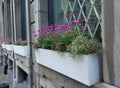 Window Boxes, Old Montreal, Canada