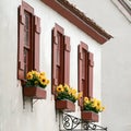 Window boxes in St. Augustine Florida