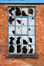 Window with Broken Glass Royalty Free Stock Photo