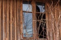 A window with broken glass on an abandoned old wooden house, surrounded by branches of wild grapes. View from the street. Warm Royalty Free Stock Photo