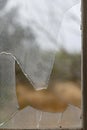 Glass broken by hooligans in a metal-plastic window, close-up. 1 Royalty Free Stock Photo