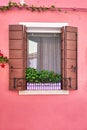 Window with brown shutters and flowers in the pot. Italy, Venice, Burano Royalty Free Stock Photo