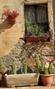 Window with cacti, Tuscany