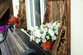 Window with carved doors and with flower pots on the facade of t Royalty Free Stock Photo