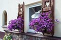 Window with carved doors and with flower pots on the facade of t Royalty Free Stock Photo