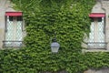 Window in the castle covered in green ivy Royalty Free Stock Photo