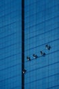 Window cleaner washes windows on a skyscraper Tower dangerous