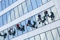 Window cleaners wash the glass facade on the same level. Industrial climbers wash the Windows of a modern skyscraper Royalty Free Stock Photo