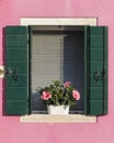 Colorful old window with flower in Venice Italy