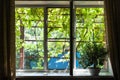 Window in cottage with house plant Royalty Free Stock Photo