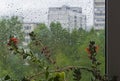 A window covered with raindrops