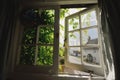 Window covered in wisteria Royalty Free Stock Photo